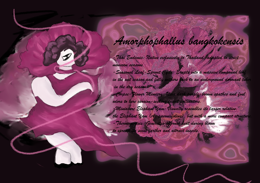 Amorphophallus paeoniifolius botanical character concept