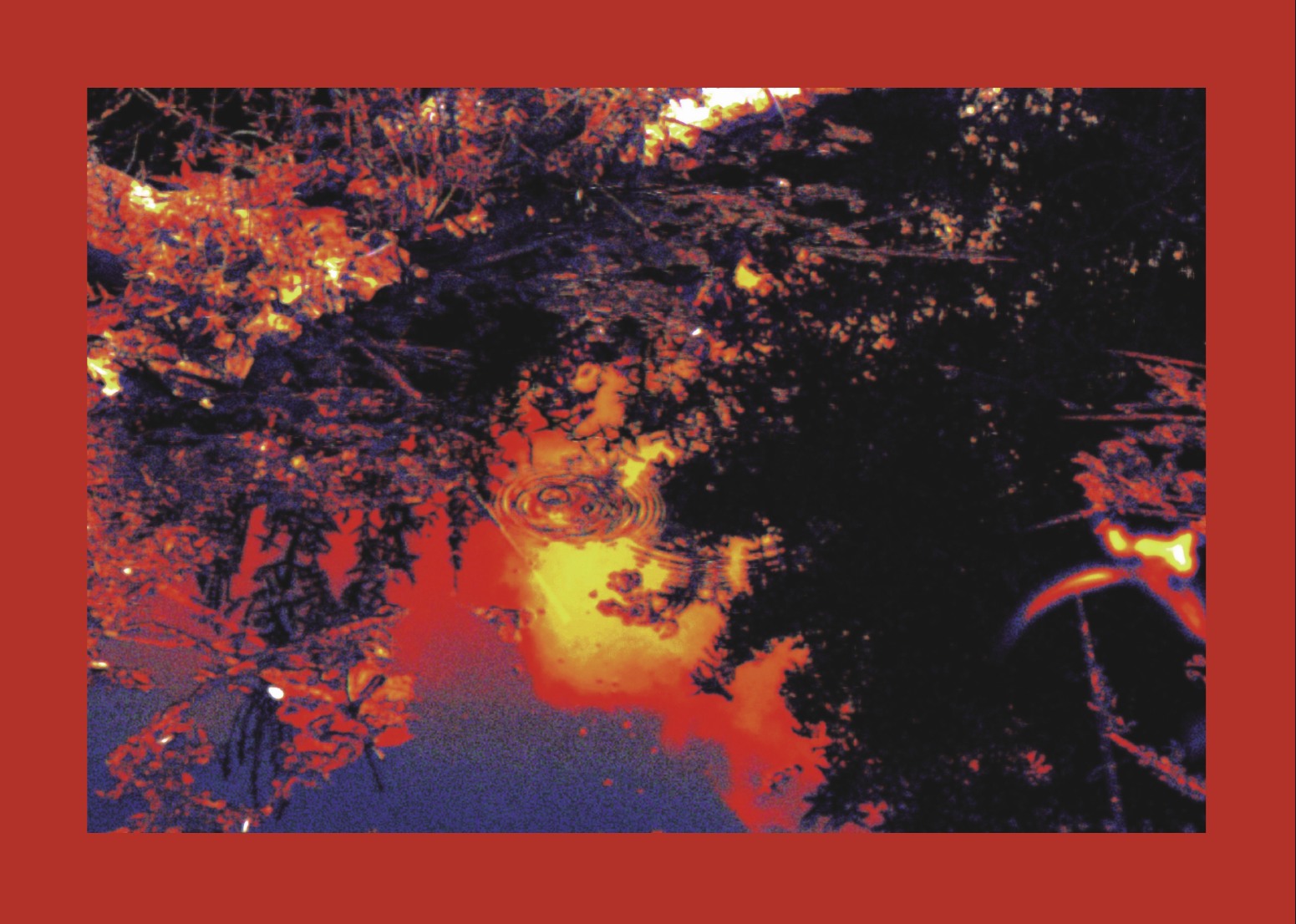 Photography portfolio page 06