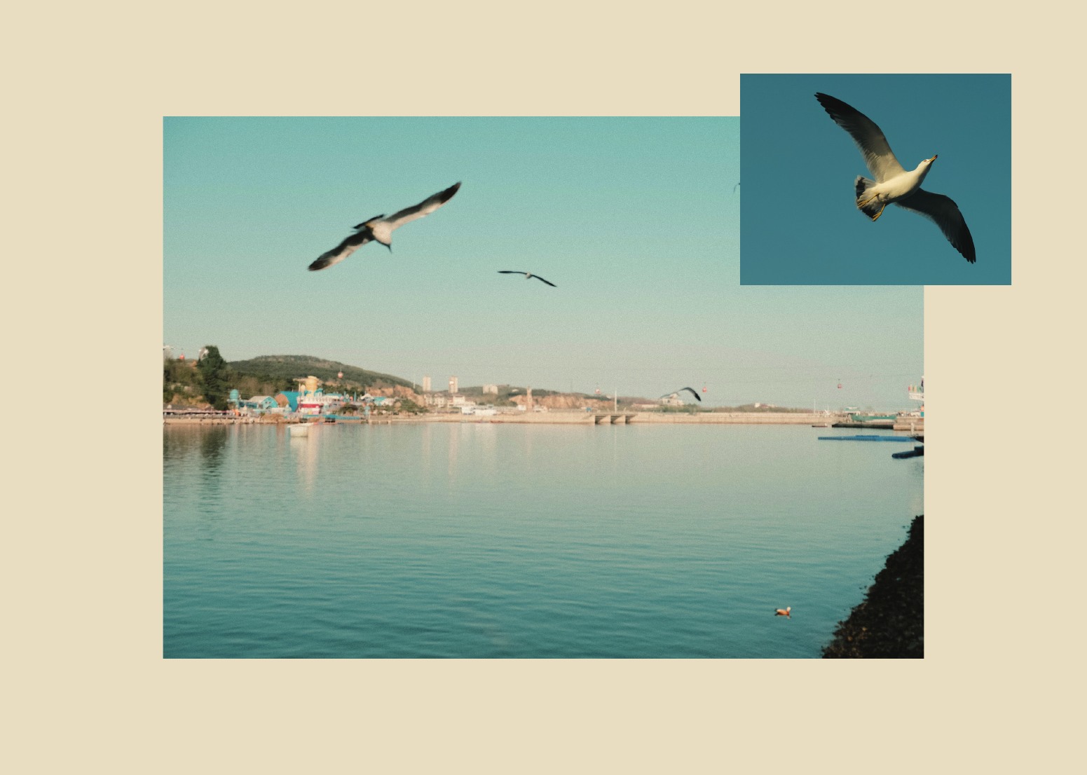 Photography portfolio page 14