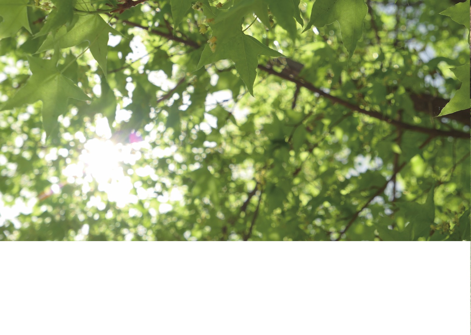 Photography portfolio page 36