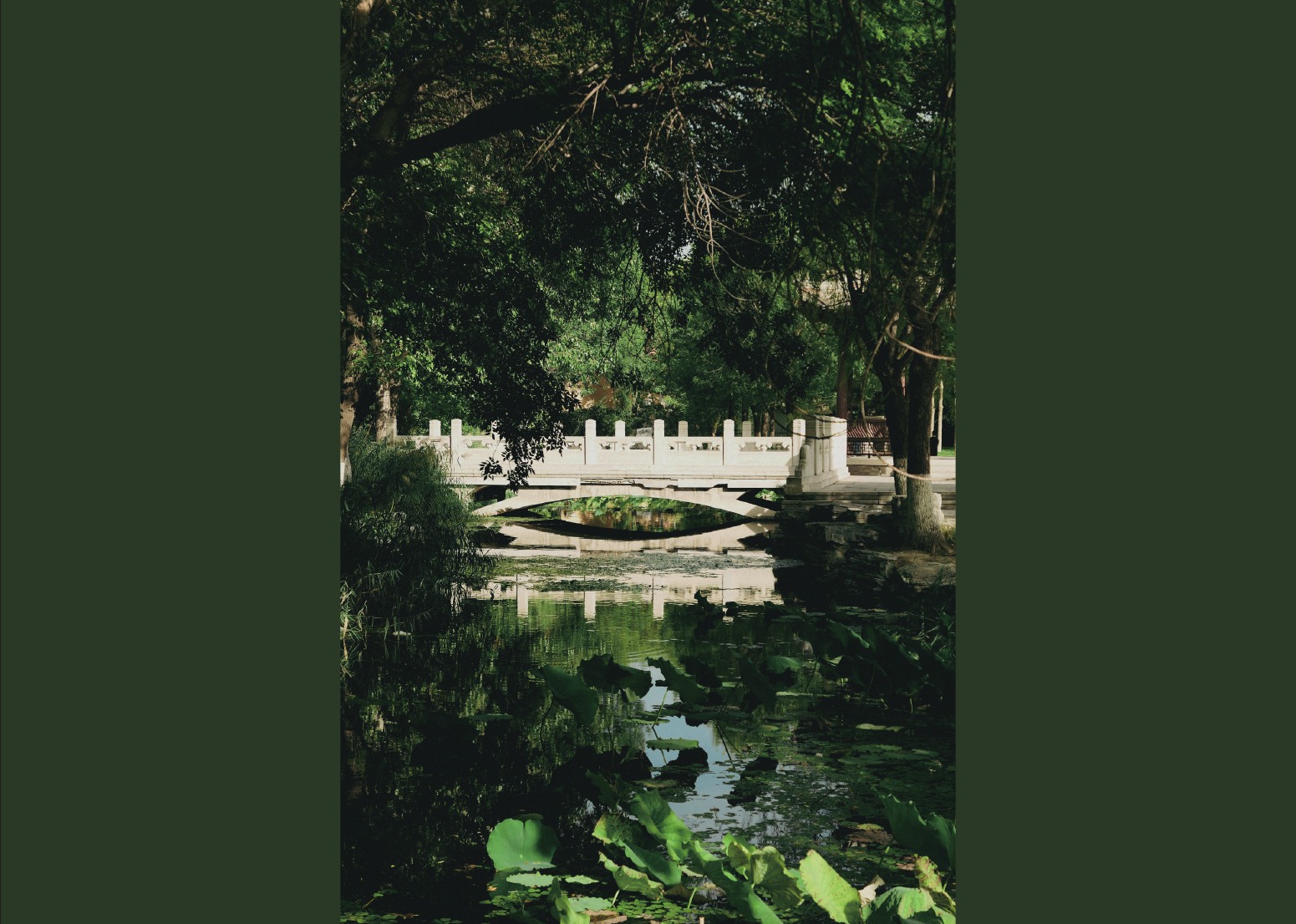 Photography portfolio page 39
