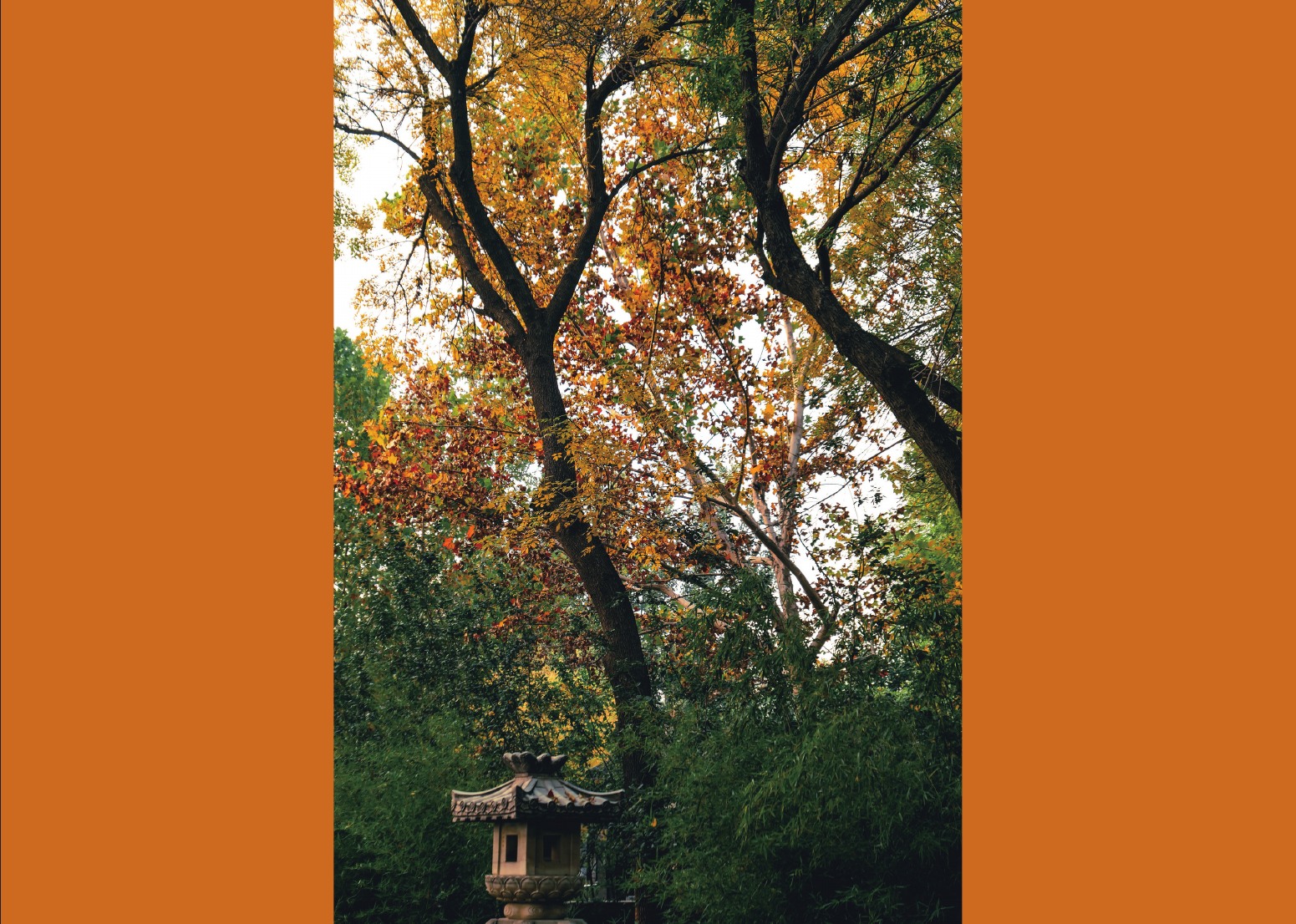 Photography portfolio page 41