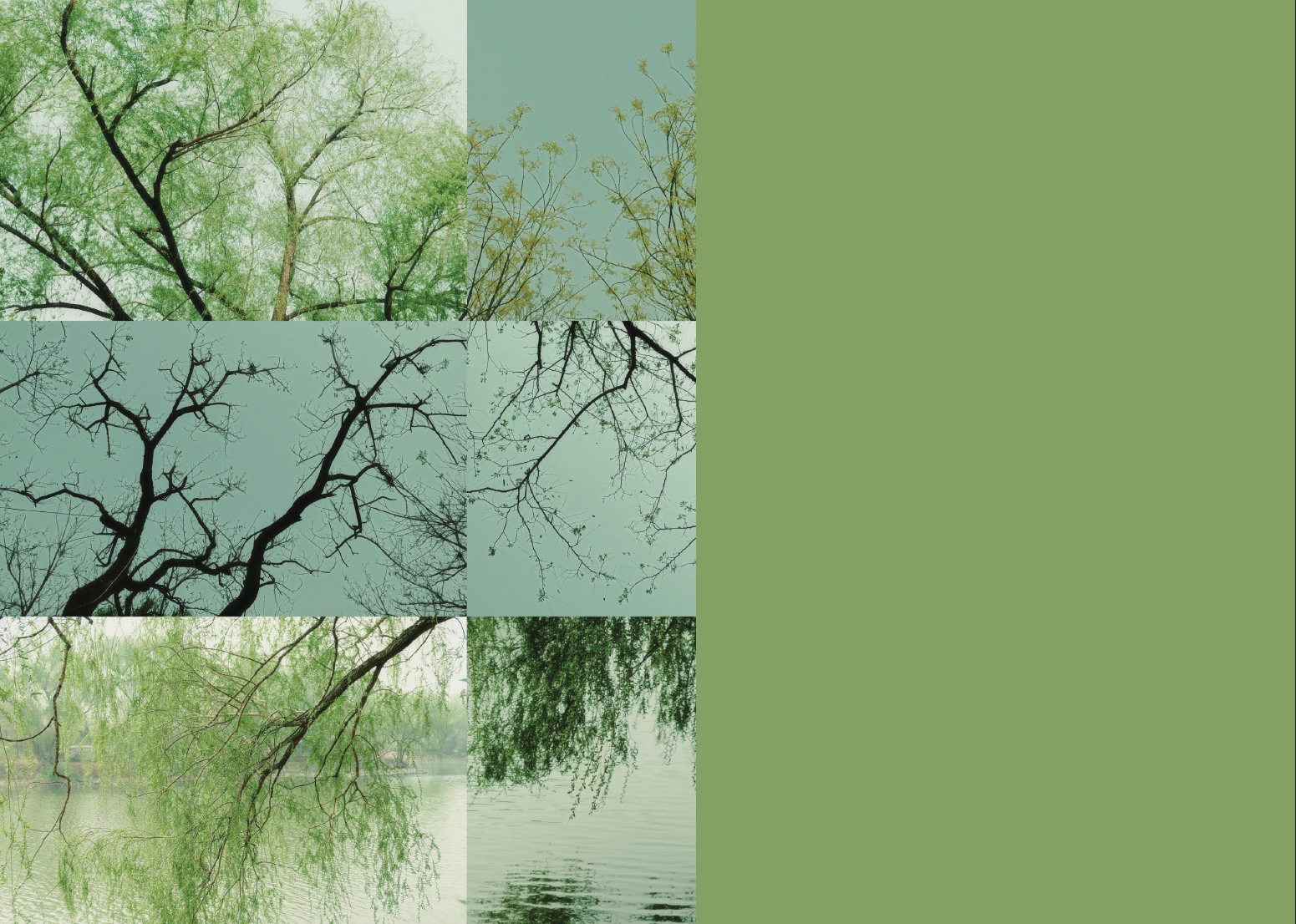 Photography portfolio page 42
