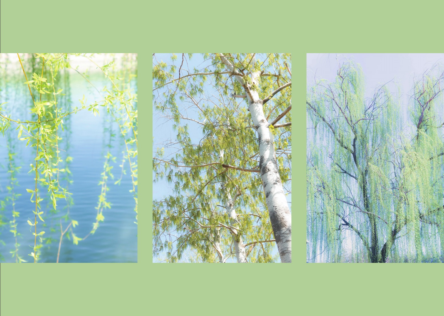 Photography portfolio page 43