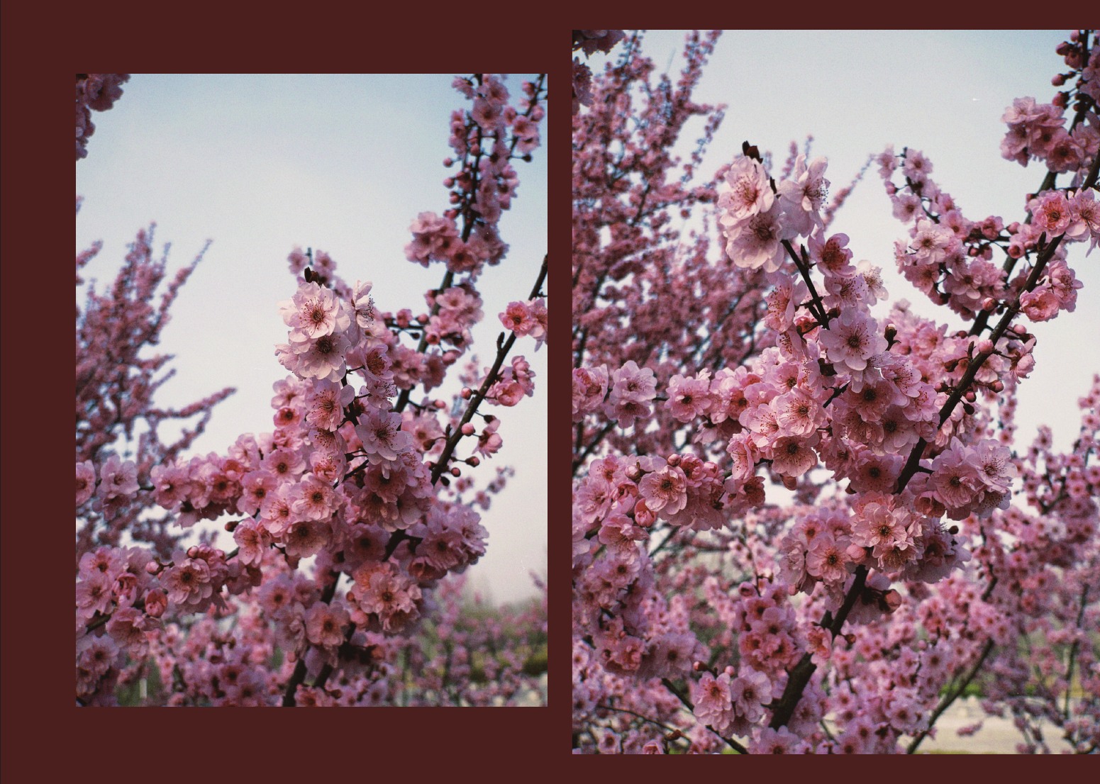Photography portfolio page 53