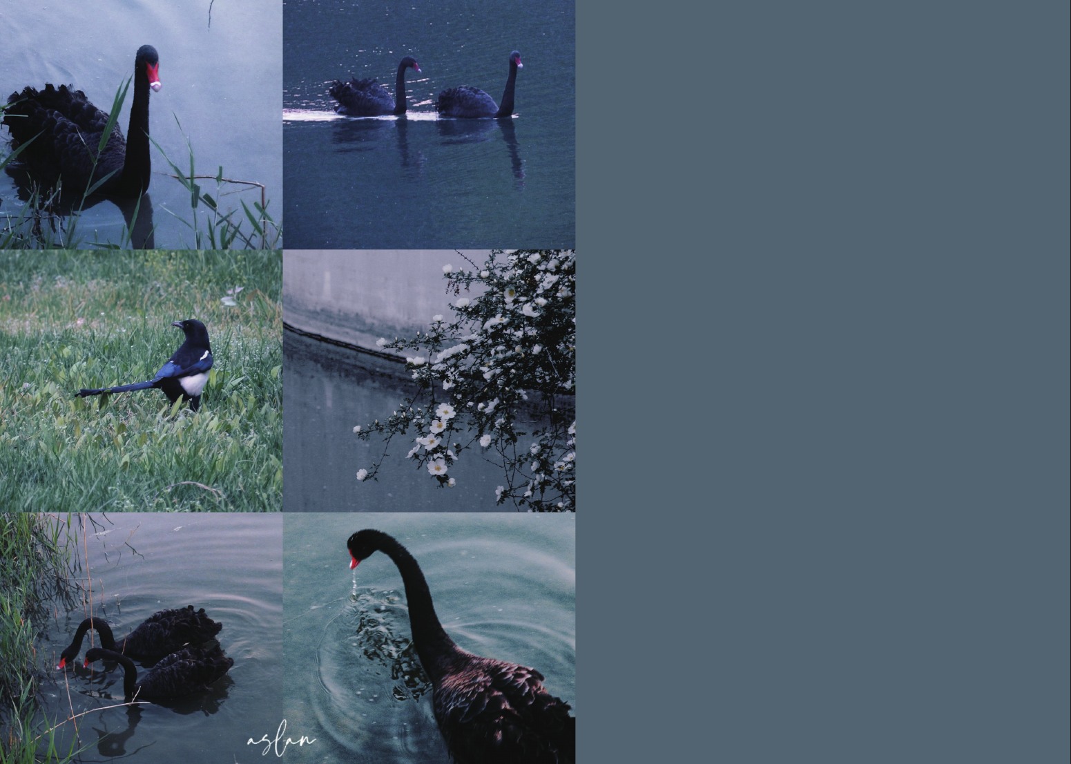 Photography portfolio page 74