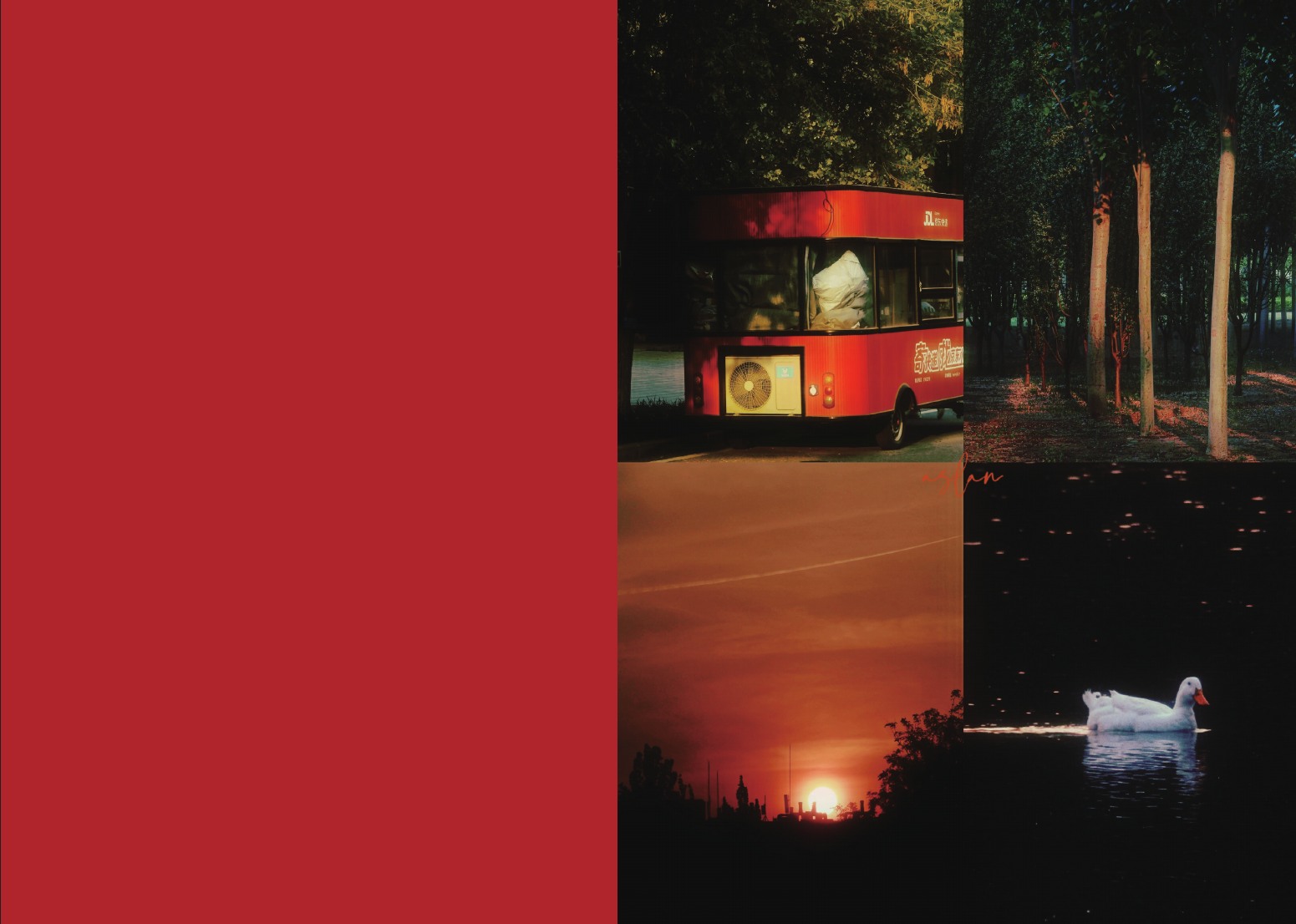 Photography portfolio page 75