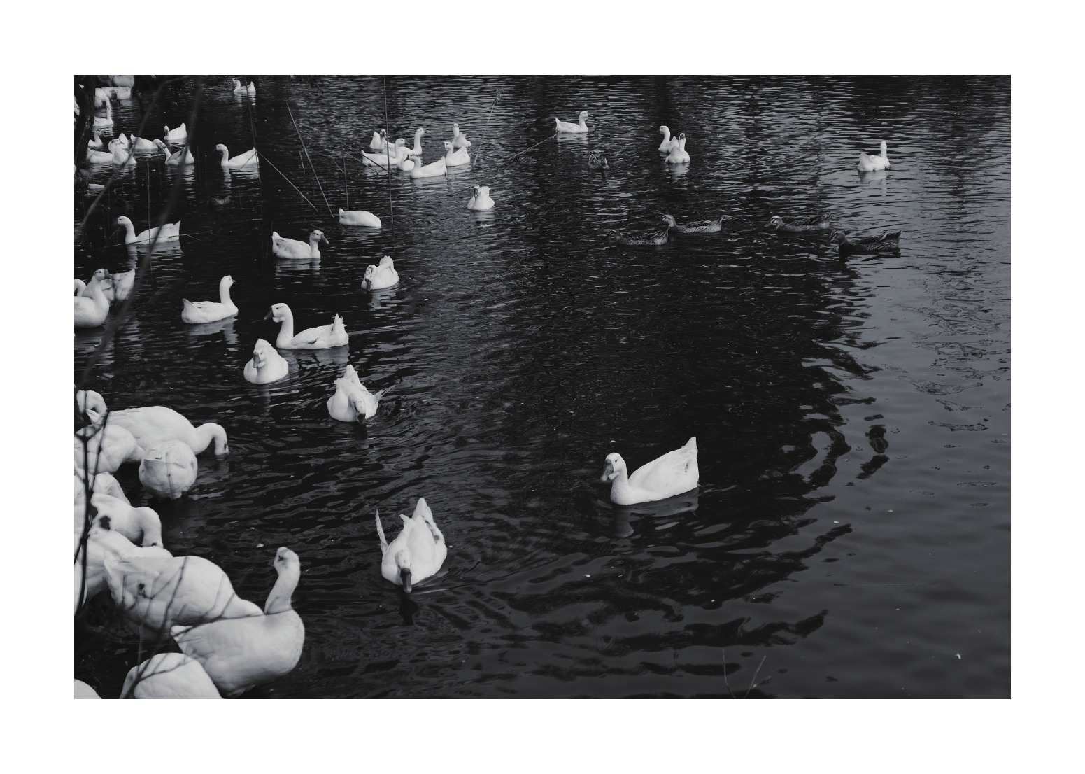 Photography portfolio page 89